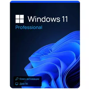 Windows 11 Professional (сборка)