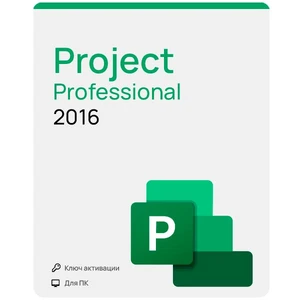 Project 2016 Professional