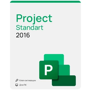Project 2016 Standard